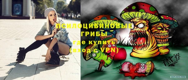 a pvp Алексин
