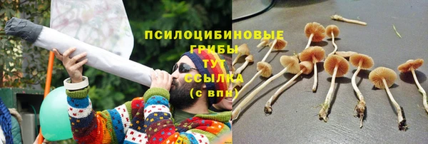 a pvp Алексин